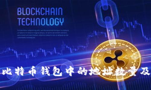深入探讨比特币钱包中的地址数量及其安全性