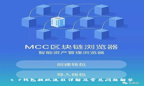 t P钱包提现流程详解及常见问题解答