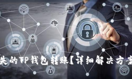 如何找回丢失的TP钱包转账？详细解决方案与步骤解析