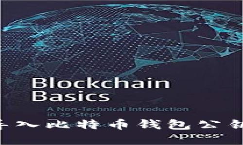 如何安全导入比特币钱包公钥：完整指南