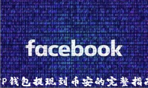 
TP钱包提现到币安的完整指南
