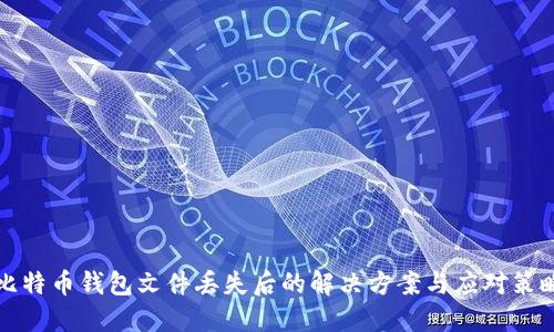 比特币钱包文件丢失后的解决方案与应对策略