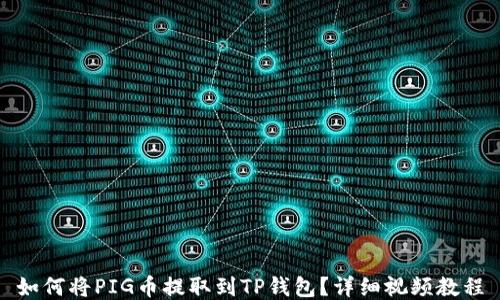 
如何将PIG币提取到TP钱包？详细视频教程