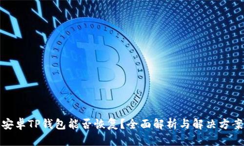 安卓TP钱包能否恢复？全面解析与解决方案