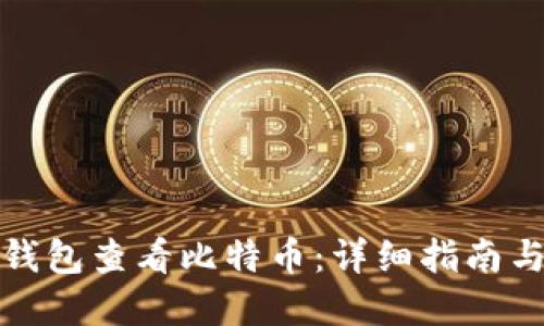 如何通过钱包查看比特币：详细指南与实用技巧