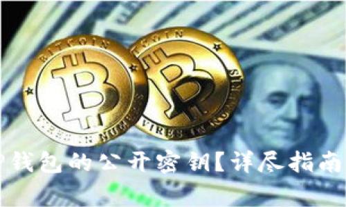 如何查看TP钱包的公开密钥？详尽指南与常见问题