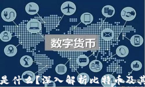 
比特币钱包存放的是什么？深入解析比特币及其钱包的本质与功能