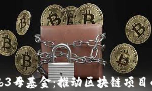 
深入解析Web3母基金：推动区块链项目的投资与发展