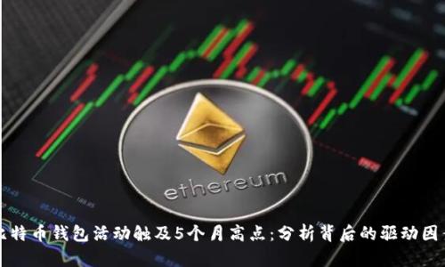 比特币钱包活动触及5个月高点：分析背后的驱动因素