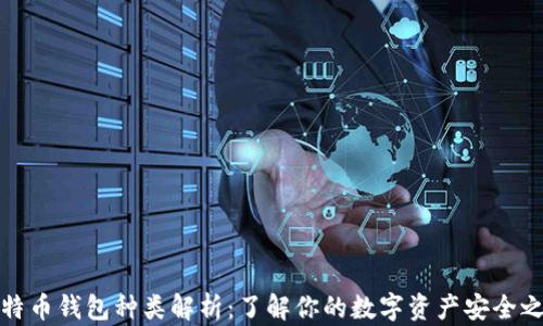 
比特币钱包种类解析：了解你的数字资产安全之选