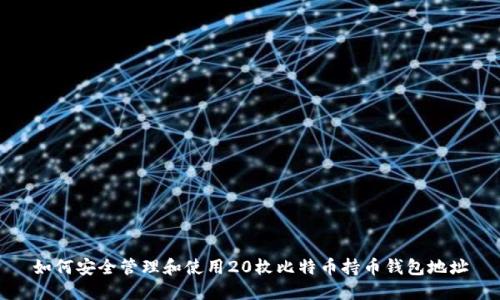 如何安全管理和使用20枚比特币持币钱包地址
