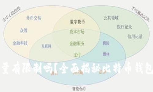 比特币钱包数量有限制吗？全面揭秘比特币钱包的使用与管理