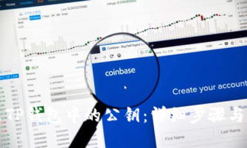 如何导出TP钱包中的公钥：详细步骤与实用指南