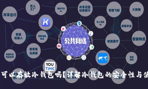 USDT币可以存放冷钱包吗？详解冷钱包的安全性与使用技巧