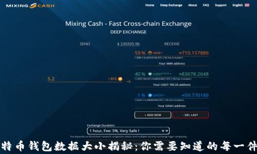 
比特币钱包数据大小揭秘：你需要知道的每一件事