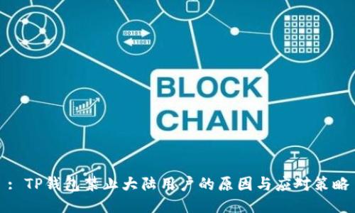 : TP钱包禁止大陆用户的原因与应对策略