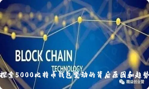 探索5000比特币钱包变动的背后原因和趋势