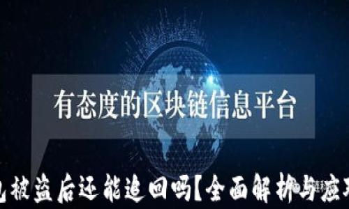 
TP钱包被盗后还能追回吗？全面解析与应对措施