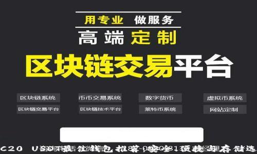 
TRC20 USDT最佳钱包推荐：安全、便捷与存储选择