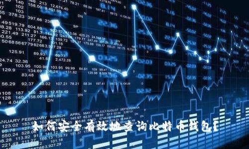 如何安全有效地查询比特币钱包？
