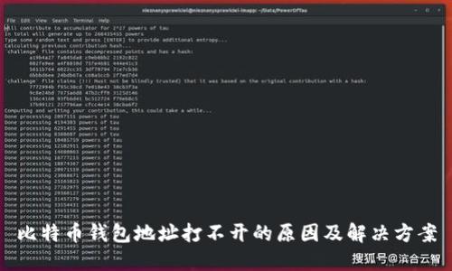 比特币钱包地址打不开的原因及解决方案