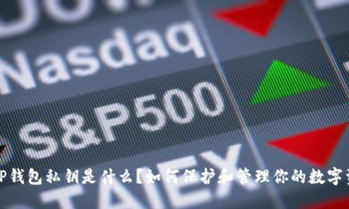: TP钱包私钥是什么？如何保护和管理你的数字资产