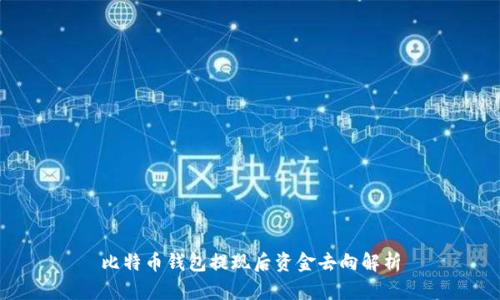 比特币钱包提现后资金去向解析