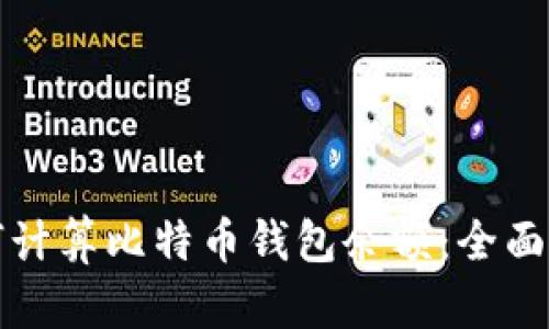 如何计算比特币钱包余额：全面指南