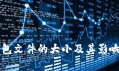 比特币钱包文件的大小及其影响因素解析
