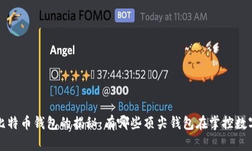 最大比特币钱包的揭秘：有哪些顶尖钱包在掌控数字资产