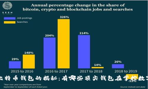 最大比特币钱包的揭秘：有哪些顶尖钱包在掌控数字资产