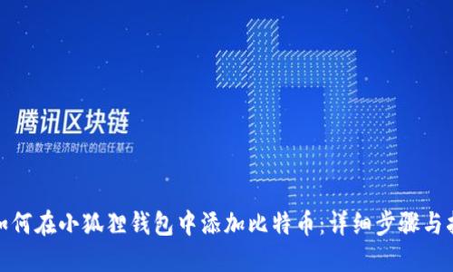 : 如何在小狐狸钱包中添加比特币：详细步骤与指导
