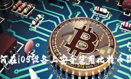 如何在iOS设备上安全使用比特币钱包
