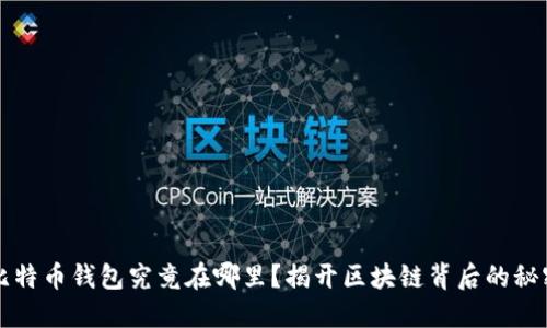 比特币钱包究竟在哪里？揭开区块链背后的秘密