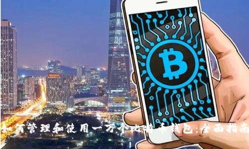 如何管理和使用一万个比特币钱包：全面指南