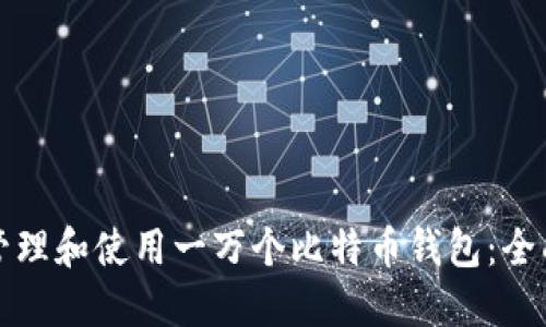 如何管理和使用一万个比特币钱包：全面指南