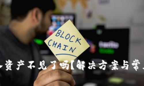 TP钱包导入资产不见了吗？解决方案与常见问题详解