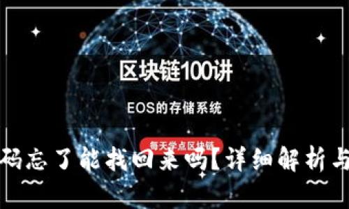 TP钱包密码忘了能找回来吗？详细解析与解决方案