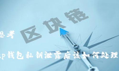 思考

tp钱包私钥泄露后该如何处理？