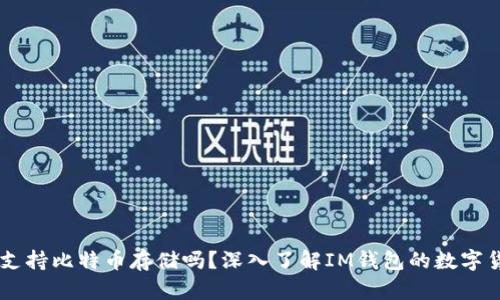 IM钱包支持比特币存储吗？深入了解IM钱包的数字货币功能