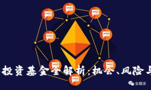 ### 

国内Web3投资基金全解析：机会、风险与未来趋势
