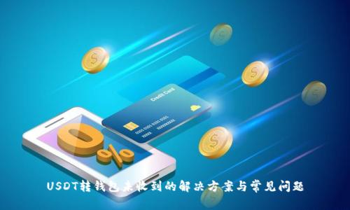 USDT转钱包未收到的解决方案与常见问题