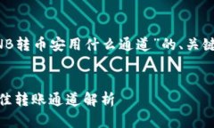 以下是针对“TP钱包BNB转币安用什么通道”的、关