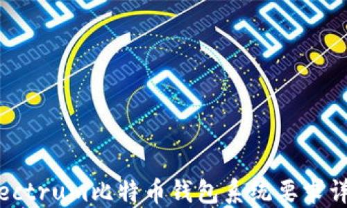 
Electrum比特币钱包系统要求详解