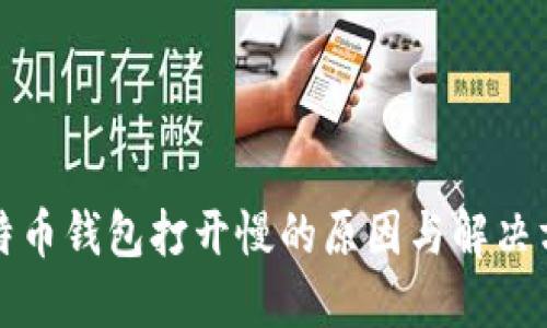 比特币钱包打开慢的原因与解决方案