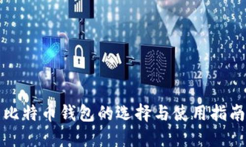 比特币钱包的选择与使用指南