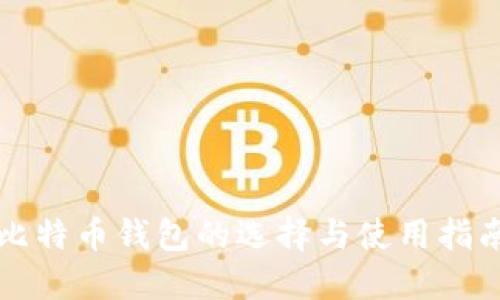 比特币钱包的选择与使用指南