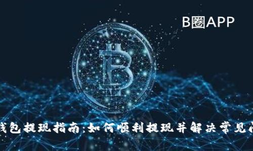 TP钱包提现指南：如何顺利提现并解决常见问题
