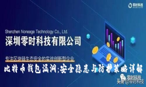 比特币钱包漏洞：安全隐患与防护策略详解