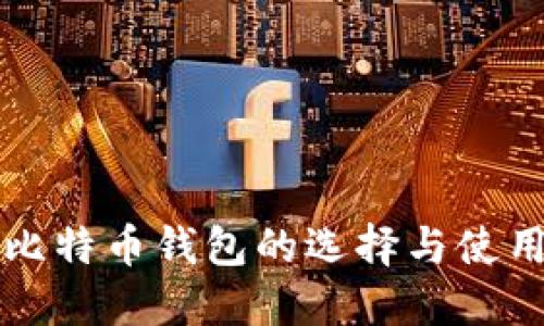两个比特币钱包的选择与使用指南